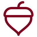 Acorn icon