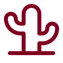 Cactus icon