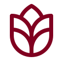 Grains icon