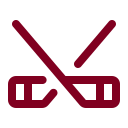 Hockey icon