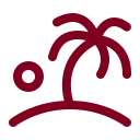 Island icon