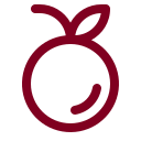 Orange icon