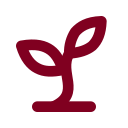 Seedling Growth icon