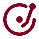 Vinyl icon