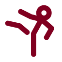 Karate icon