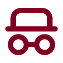 Spy icon