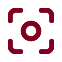 Capture icon
