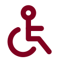 Disabled icon