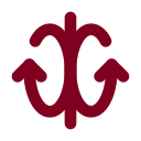 Magnetic icon