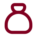 Moneybag icon