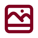Polaroid icon