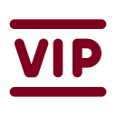 Vip icon