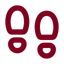 Footsteps icon