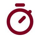 Stopwatch icon