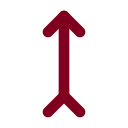 Arrow Up Tail icon