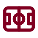 Soccer Field icon