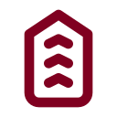 Military Rank icon