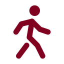 Walk icon