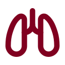 Lungs icon