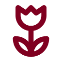 Macro icon