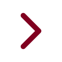Next Step icon