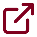 External Link icon