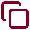 Copy Endpoint icon